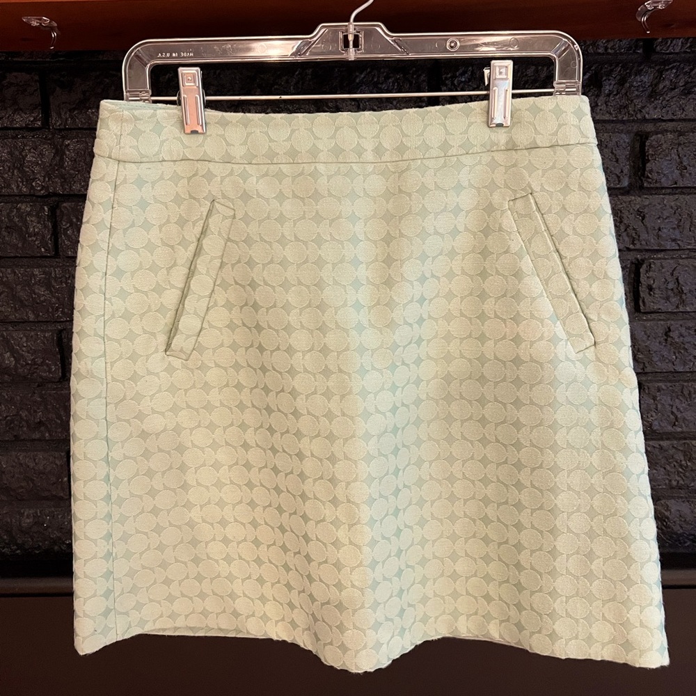 The Limited Skirt